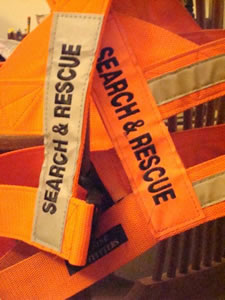 Search & Rescue 